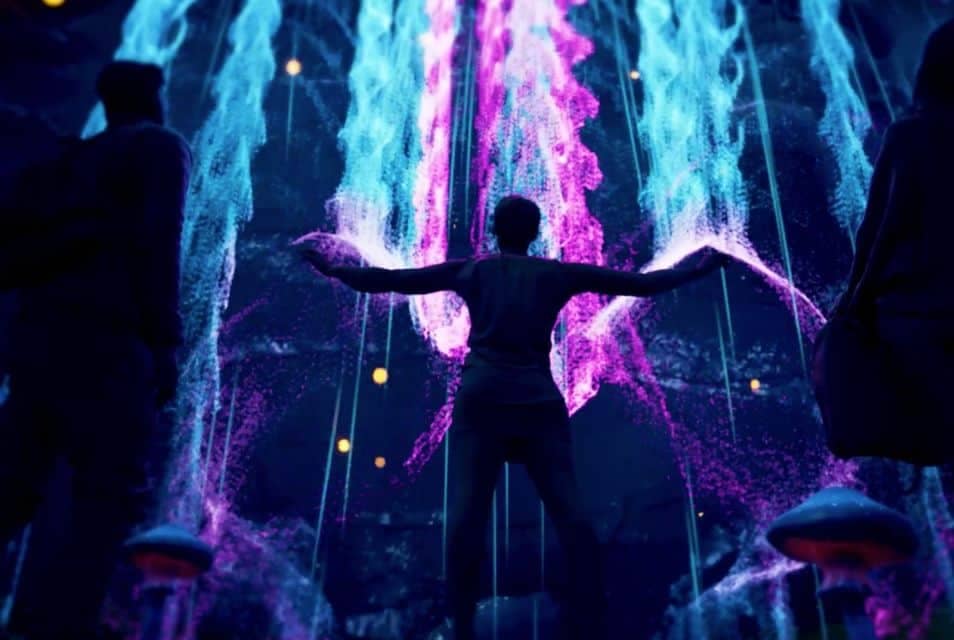 Illuminarium atlanta nigth
