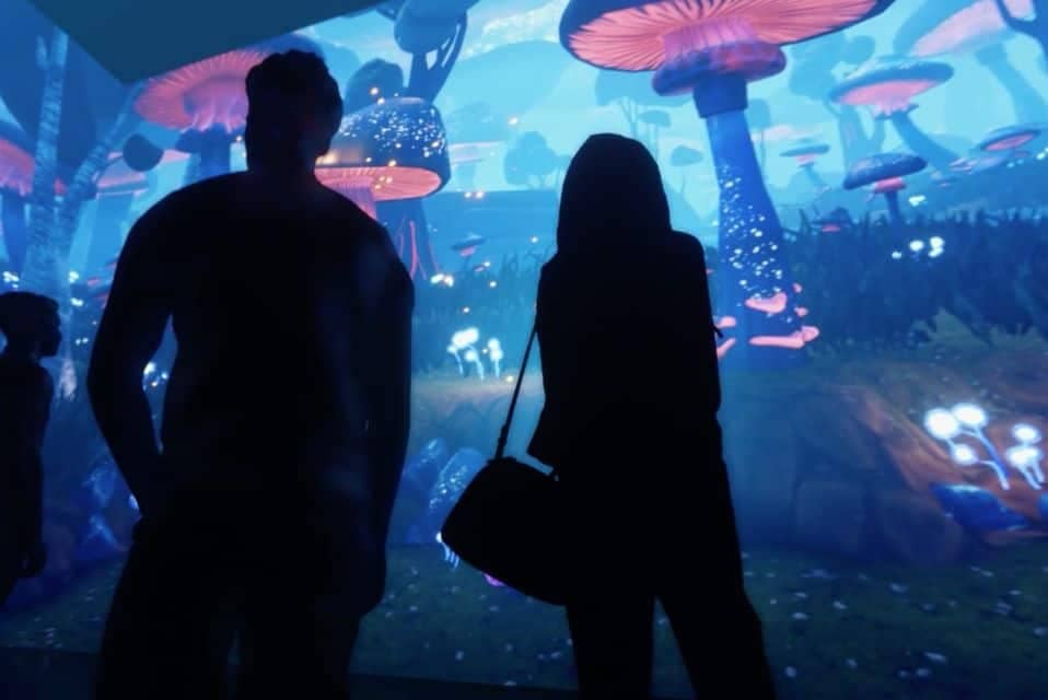Illuminarium atlanta friendly